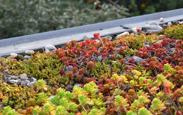 the cost of North Milmain green roof installation