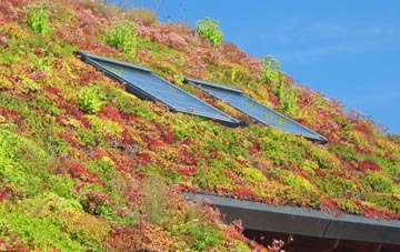 North Milmain living roof systems